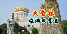 向着航天强国目标勇毅前行中国浙江-绍兴大香林旅游风景区